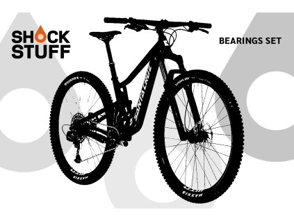 santacruz tallboy4al 19 22
