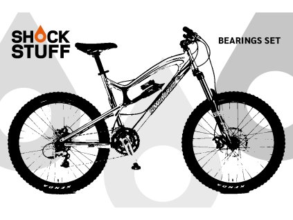 santacruz nomad1 05 08