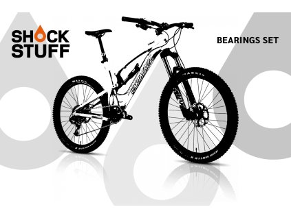 santacruz nomad2 08 13