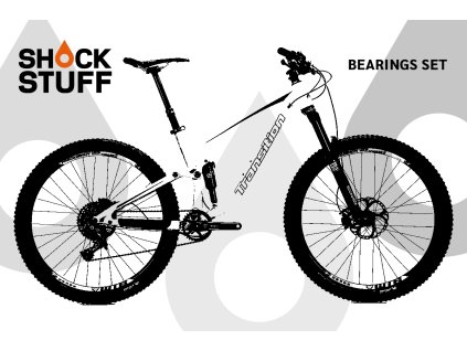 Transition ScoutAL 2015