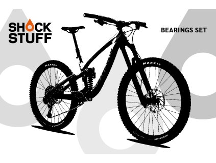 Transition PatrolCB 2020