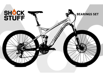 specialized fsr 2009