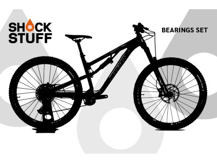 Bird Aeris9 2022
