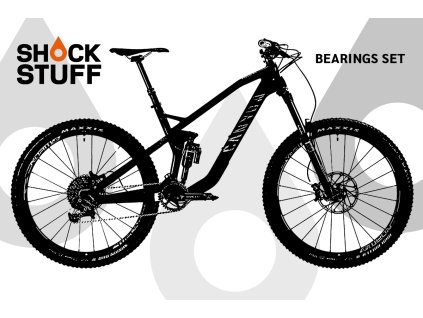 canyon strive cf 2015