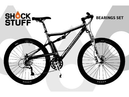 Santacruz JulianaSL 2005