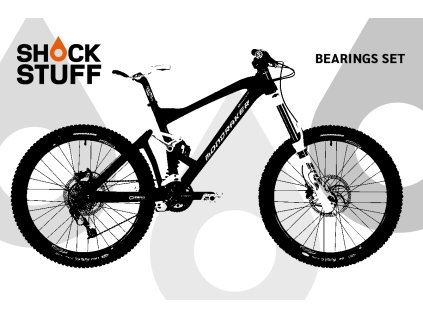 mondraker summumdurham 2010