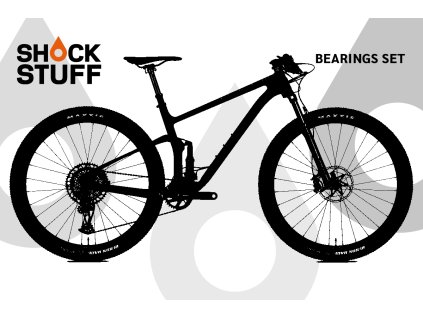 nsbikes synonym 2022