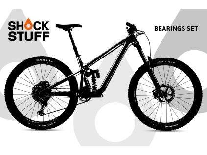 pivot firebirdV3 2022 2023