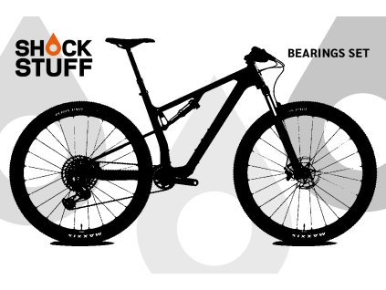 santacruz blur 04 07