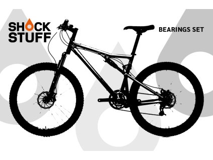 santacruz blur 05 08