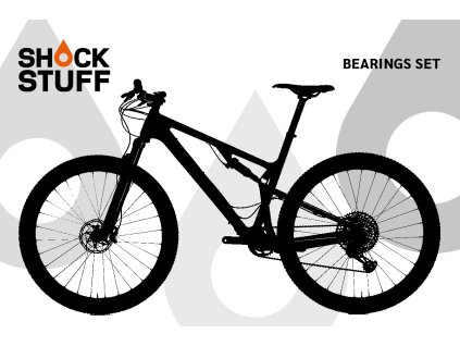 santacruz blur 18 21