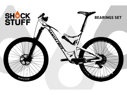 santacruz bronson 13 15