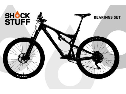 santacruz bronson 18 21