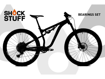 Sonder Evol29 2020