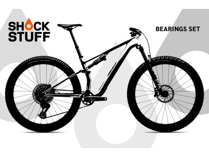specialized epic 2025
