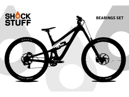 pivot phoenix2024 2025