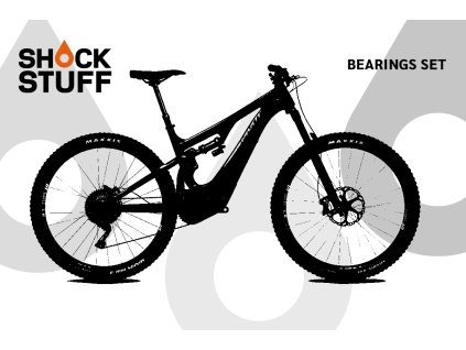 pivot shuttle 2019 2020