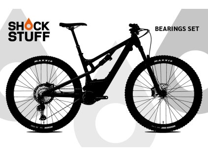 rocky mountain instinct powerpaly 2020 2021