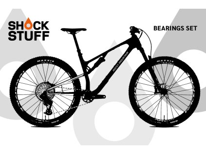 rockymountain element 2025