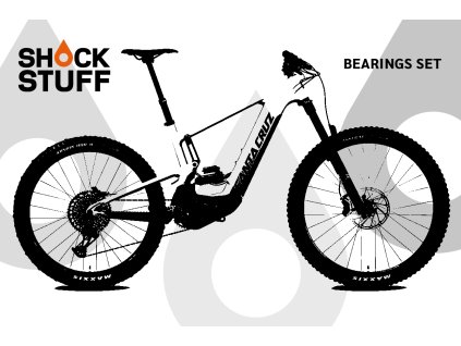 santacruz heckler9 22