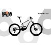 santacruz heckler8 20 22