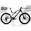 specialized epic sworks 2011