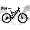 canyon torque 2009