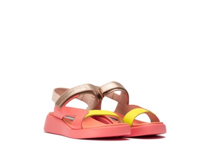 C 6543 CORAL CYBER 1