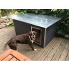 Psí bouda Boxer