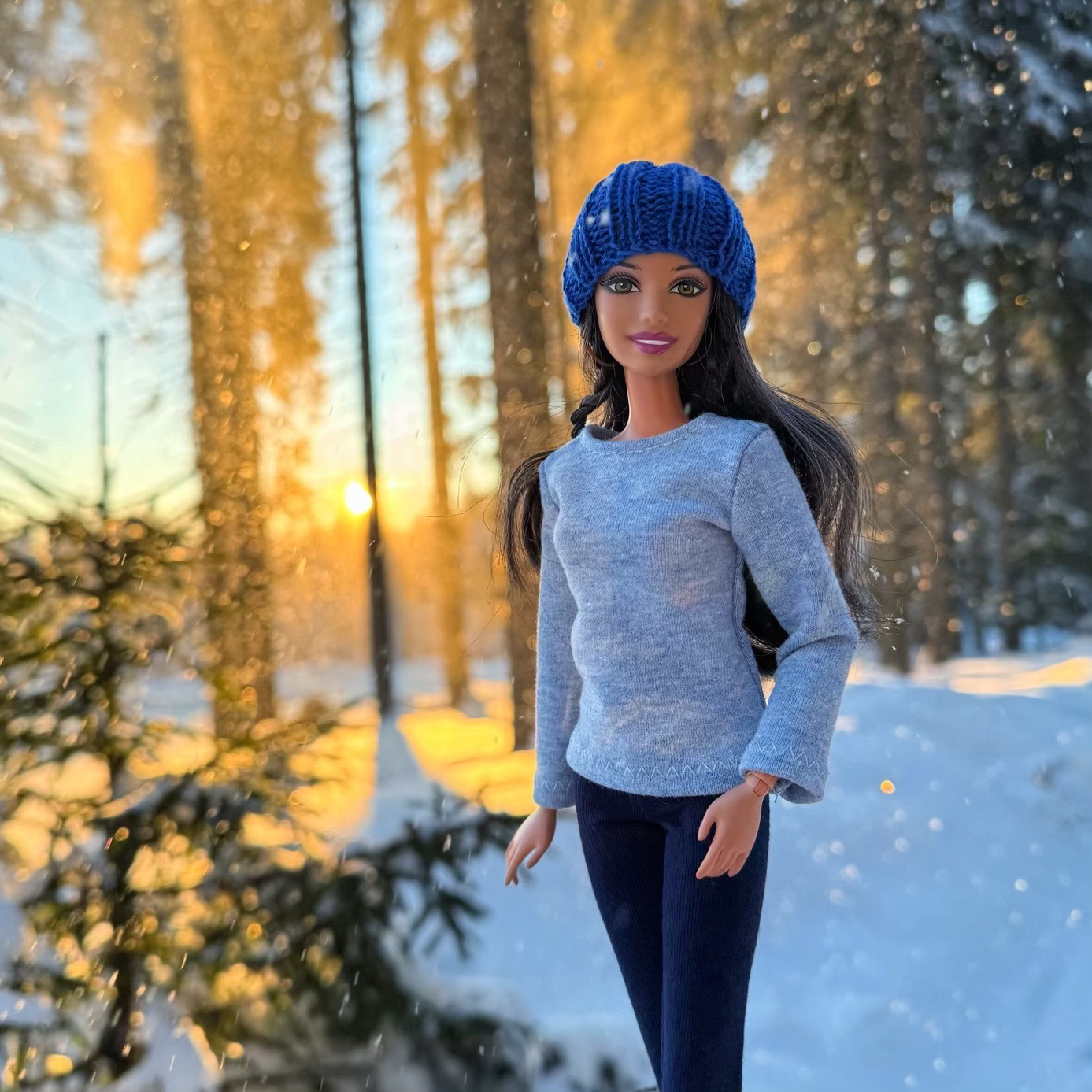 Šumava v lednovém tichu