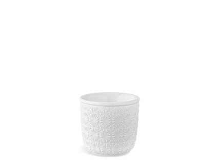 Dvoustěnka 80 ml epresso Star raw