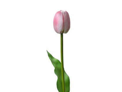 Stonek umělého tulipánu Clayre & Eef 6PL0311 4x4x32 cm