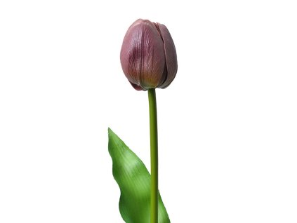 Stonek umělého tulipánu Clayre & Eef 6PL0312 4x4x32 cm
