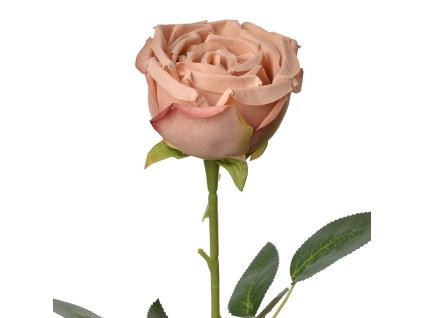 Umělá růže Clayre & Eef 6PL0369CH 61 cm