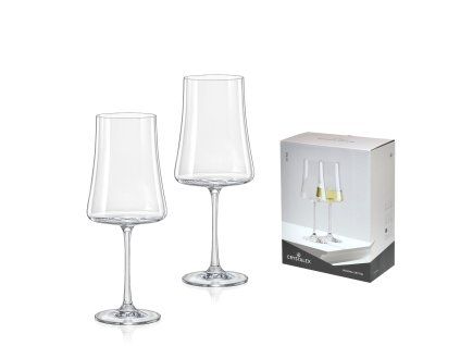Kalíšky XTRA 460 ml - sada 2 ks