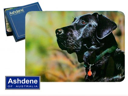 Korkové prostírání Černý Labrador
