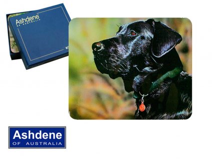 Korkové prostírání Černý Labrador