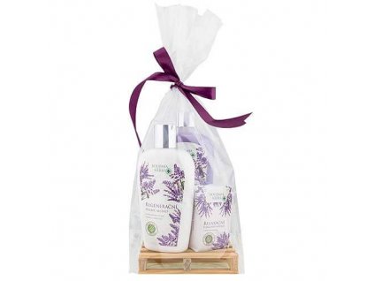 Bohemia Herbs Sada levandule pro učitelku – mýdlo 300ml, mléko 250ml a mýdlo 100g