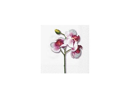 Dezertní třívrstvé ubrousky Classic orchid white, 20 ks