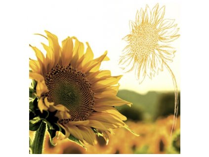 Papírové třívrstvé ubrousky Dusk Sunflower, 20 ks - 33*33 cm