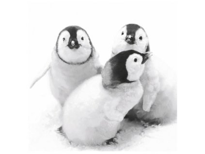 Papírové třívrstvé ubrousky Penguin friends 20 ks - 33*33 cm