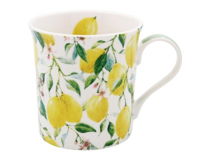 Porcelánový hrnek Lemon, CITRÓNY v dárkové krabičce - 350 ml