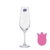 Sklenice (flétny) Tulipa 170 ml - sada 6 ks