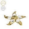 Swarovski - designová figurka "MOŘSKÁ HVĚZDA" s bílými krystaly Swarovski Elements v dárkové krabičce - 9*9 cm