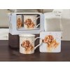Leonardo - Porcelánový hrnek s podtáckem, Zlatý retriever v dárkové krabičce - 230 ml