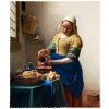 Plu - Čistící hadřík na brýle Jan Vermeer, The Mi lkmaid - 15x18 cm