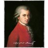 Plu - Čistící hadřík na brýle Barbara Krafft, Wolfgang Amadeus Mozart - 15x18 cm