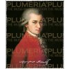 Plu - Čistící hadřík na brýle Barbara Krafft, Wolfgang Amadeus Mozart - 15x18 cm
