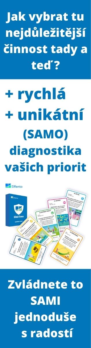 Karty Silná firma