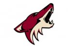  Arizona Coyotes